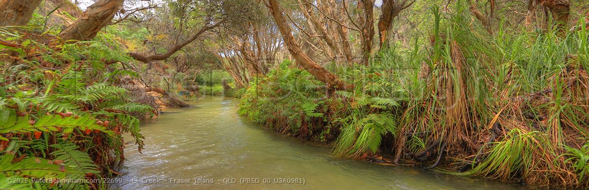 Peter Bellingham Photography Eli Creek - Fraser Island - QLD (PB5D 00 U3A0981)
